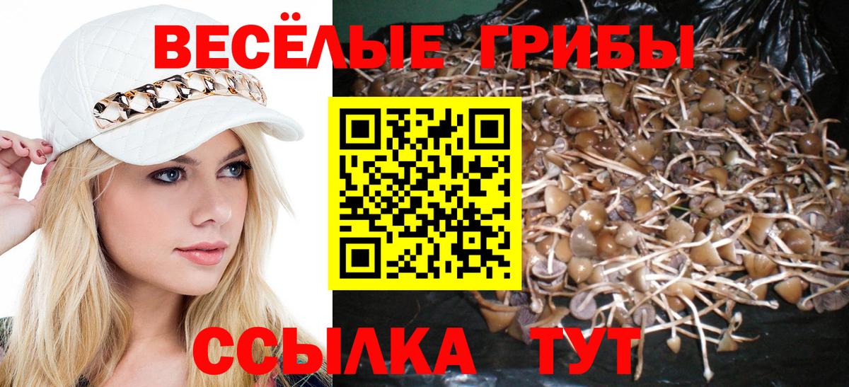 Галлюциногенные грибы Psilocybine cubensis  Вход с VPN  Сосновый Бор 