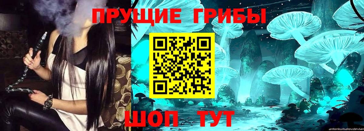 Галлюциногенные грибы MAGIC MUSHROOMS Сосновый Бор
